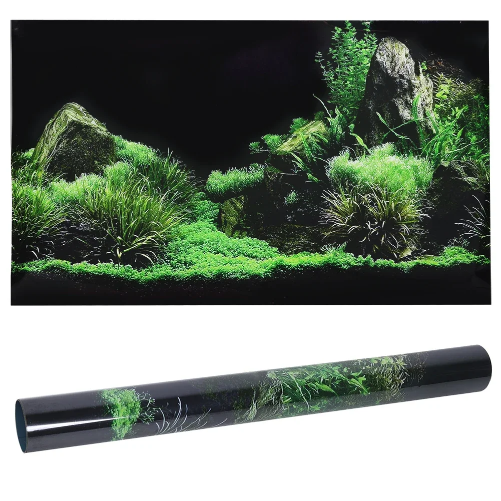 Aquarium Fish For Sale Online - Autocollant de fond 3D pour aquarium,