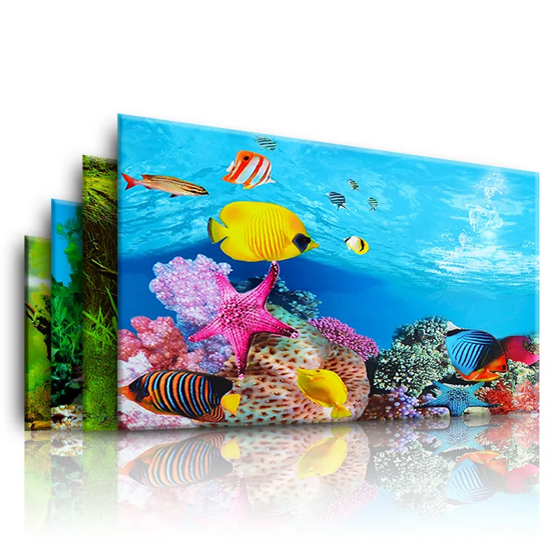 Aquarium Fish For Sale Online - Fond pour Aquarium 3d autocollant affiche
