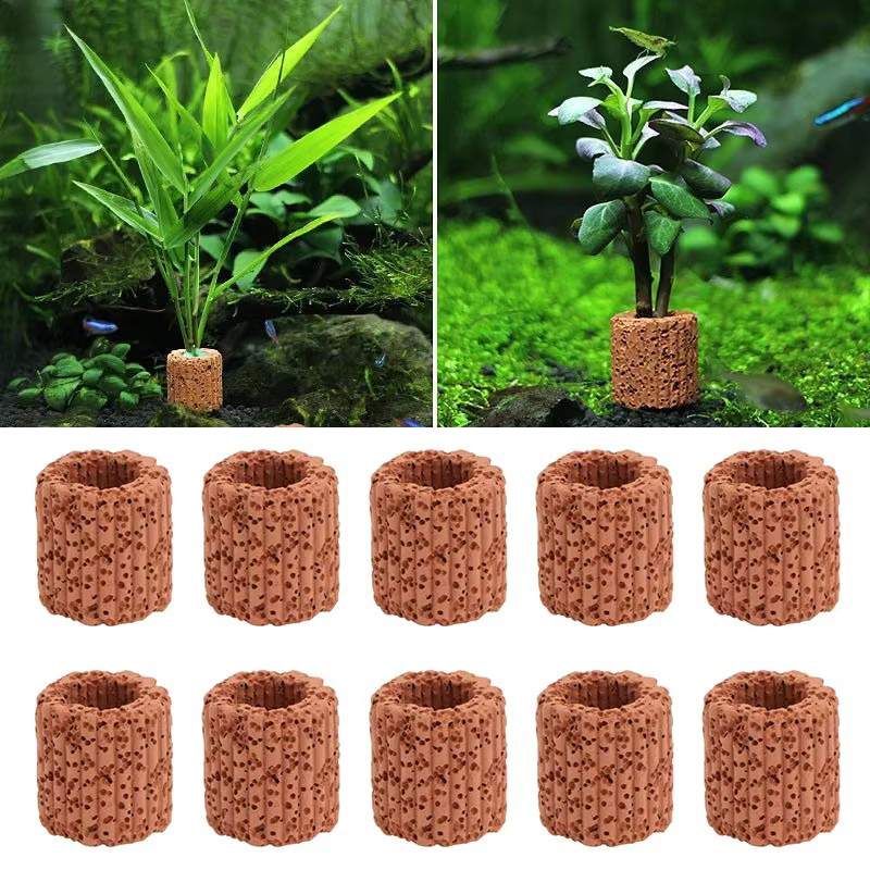 Aquarium Fish For Sale Online - Anneau fixe pour plantes aquatiques, pour
