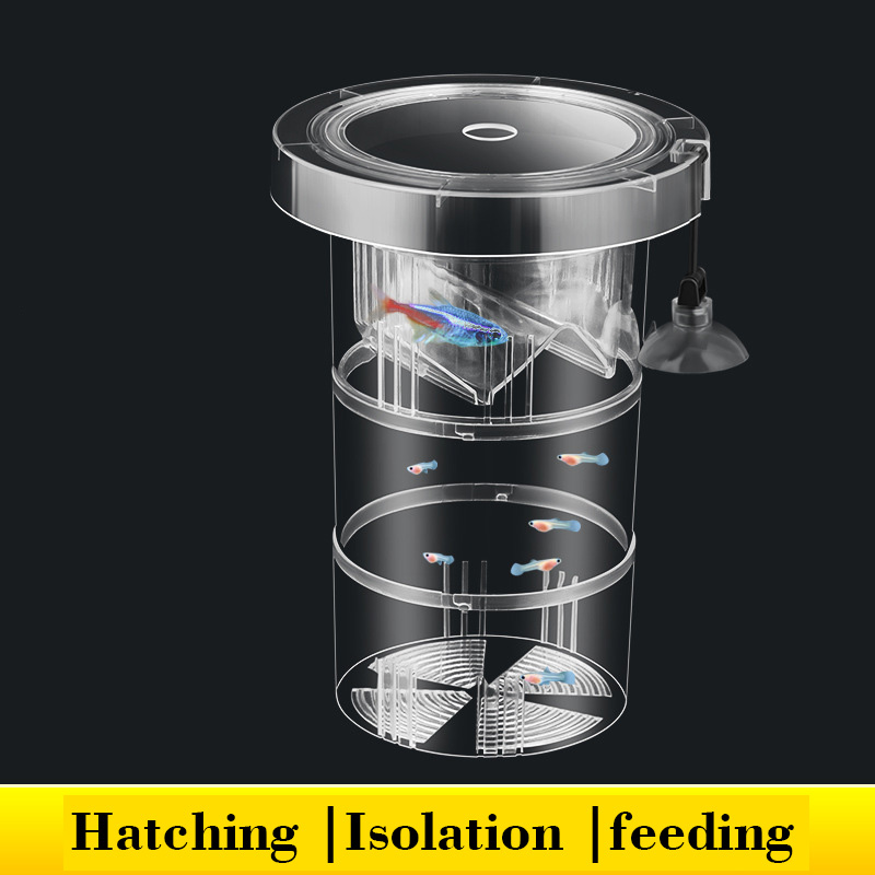 Aquarium Fish Accessories - Boîte d'isolation flottante pour élevage de
