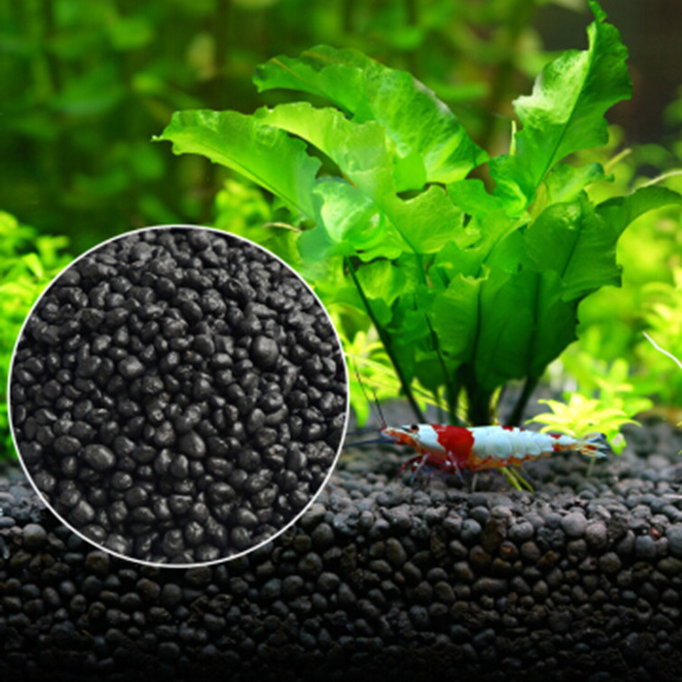 Aquarium Fish Freshwater - Sol de graines de plantes d'aquarium,