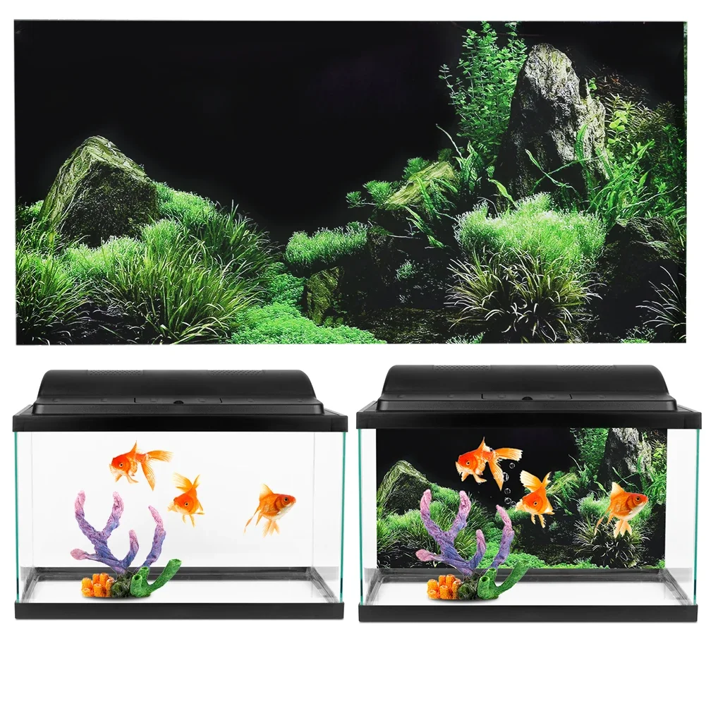 Autocollant de fond 3D pour aq - Aquarium Fish For Sale Online avis et prix
