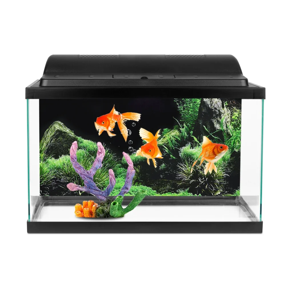 Autocollant de fond 3D pour aq - Aquarium Fish For Sale Online avis et prix