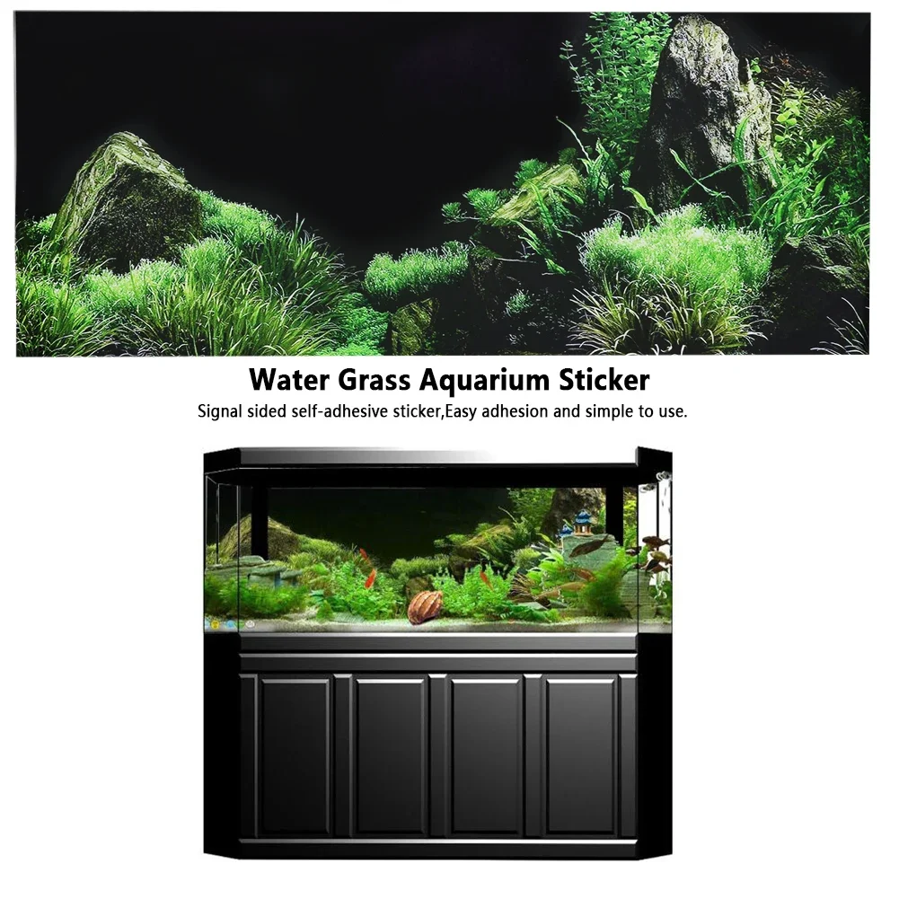 Autocollant de fond 3D pour aq - Aquarium Fish For Sale Online avis et prix