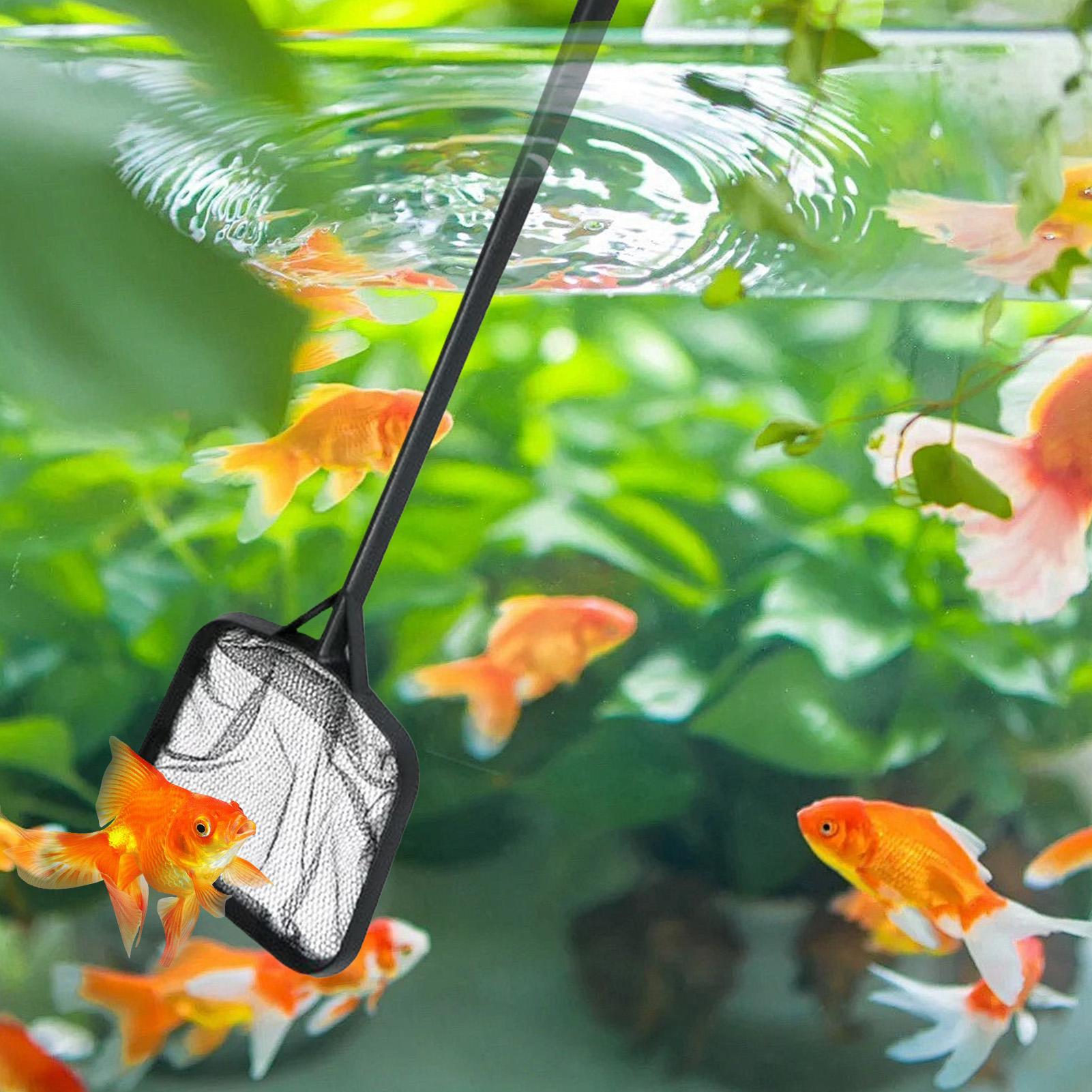 Filets de nettoyage pour pisci - Aquarium Fish Tank Cleaner avis et prix