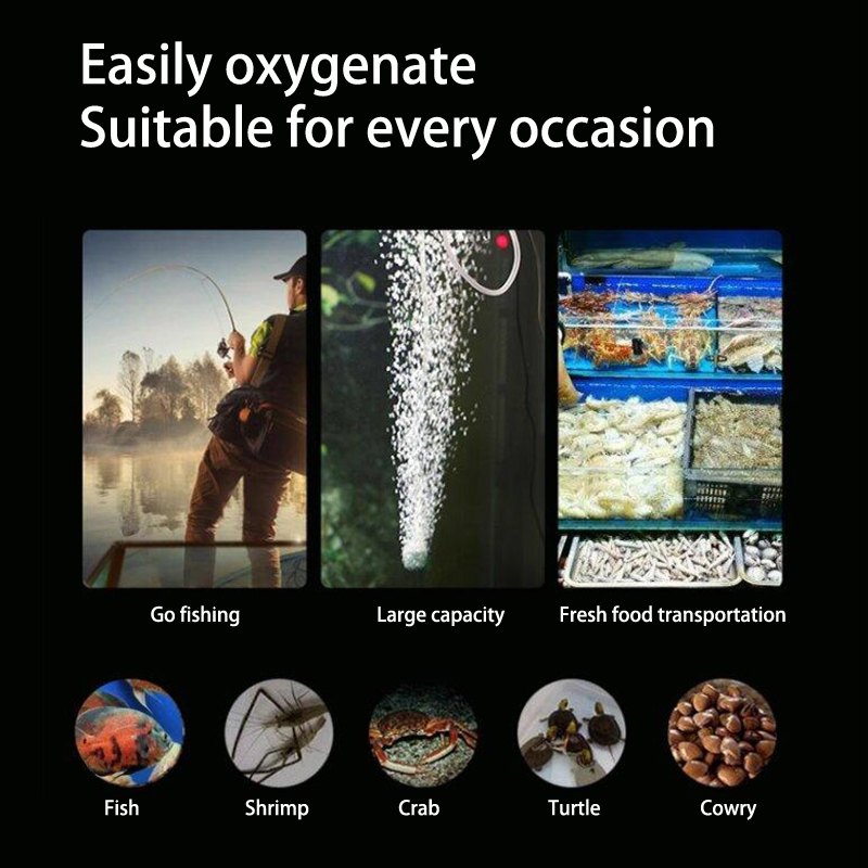 Kit de mini pompe à oxygène po - Aquarium Fish Accessories avis et prix