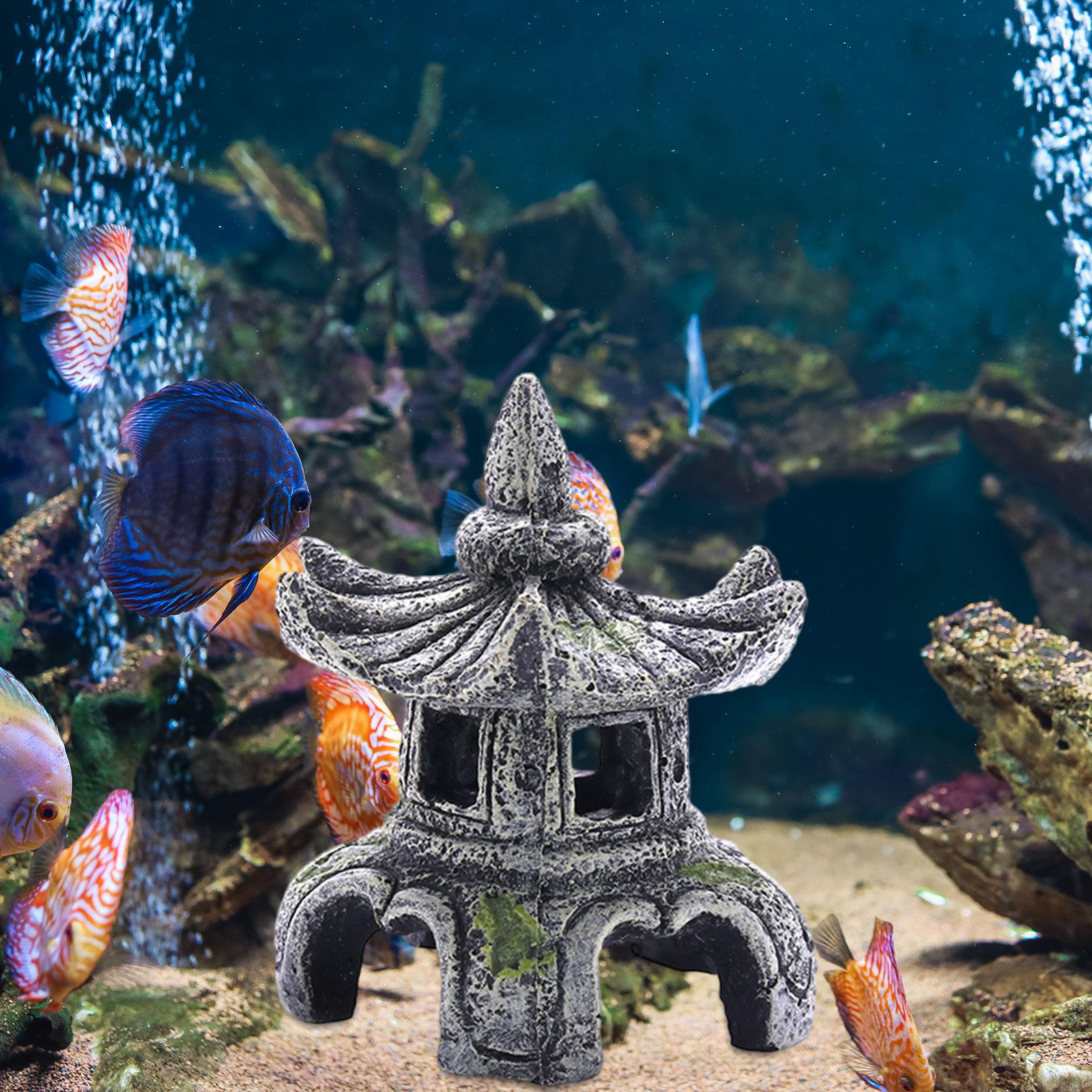 Ornement d'aquarium, accessoir - Aquarium Fish For Sale Online avis et prix