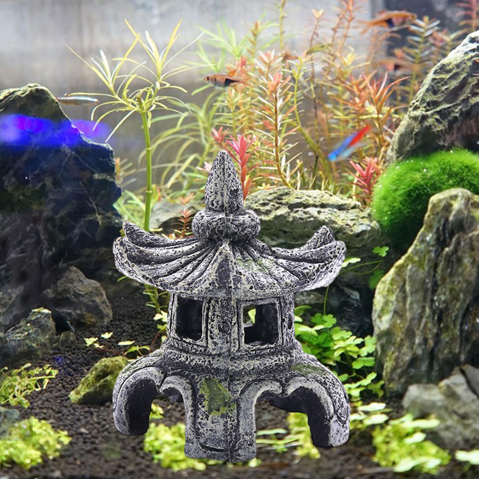 Ornement d'aquarium, accessoir - Aquarium Fish For Sale Online avis et prix