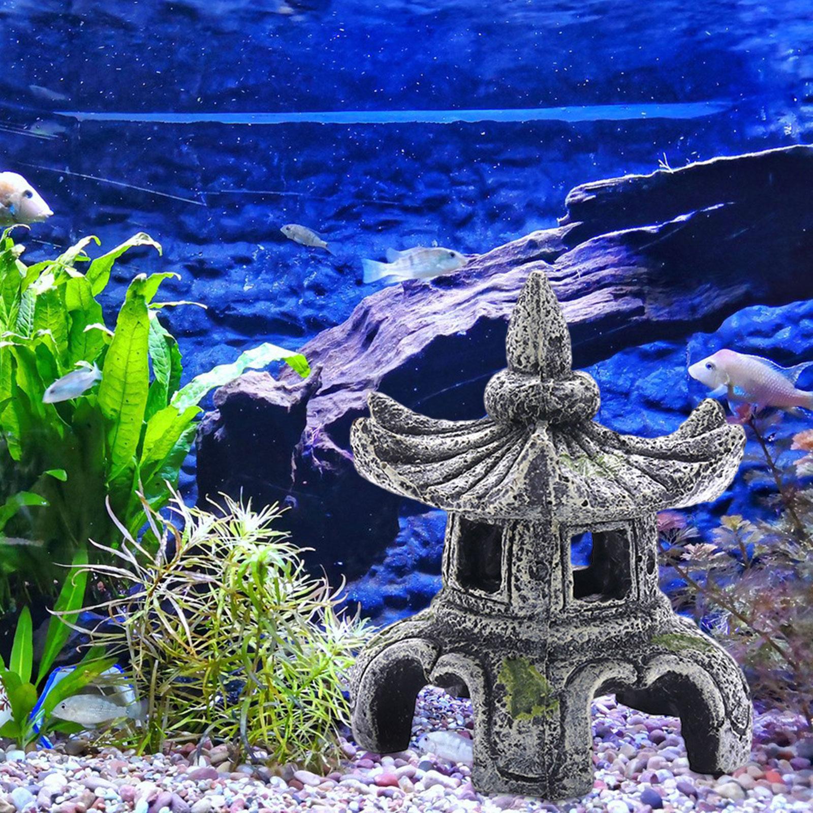 Ornement d'aquarium, accessoir - Aquarium Fish For Sale Online avis et prix