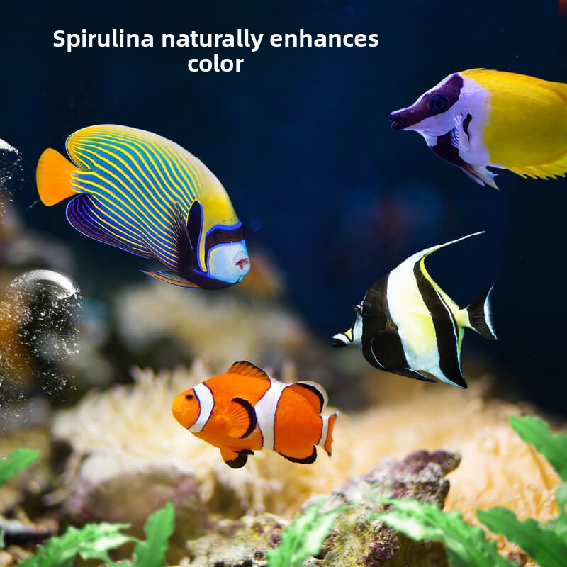 DEERA Poisson Clown & Tang Foo - All Fish In Aquarium avis et prix
