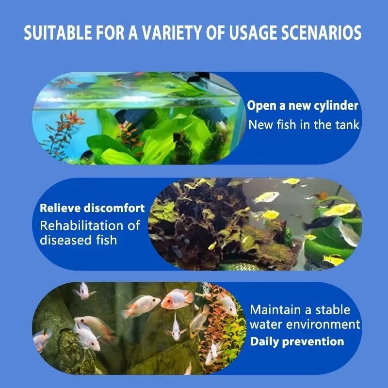 SIKEZHAN Traitement des maladi - Aquarium Fish Freshwater avis et prix