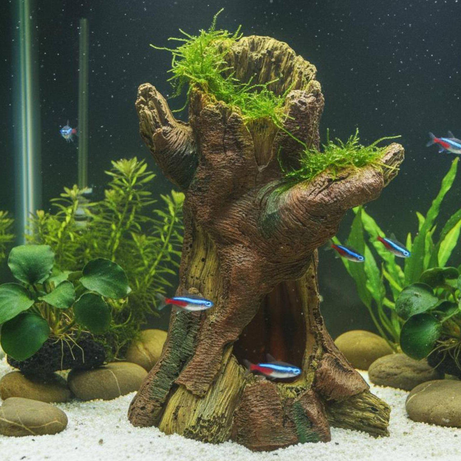 Décoration d'aquarium, décorat - Aquarium Fish Tank avis et prix