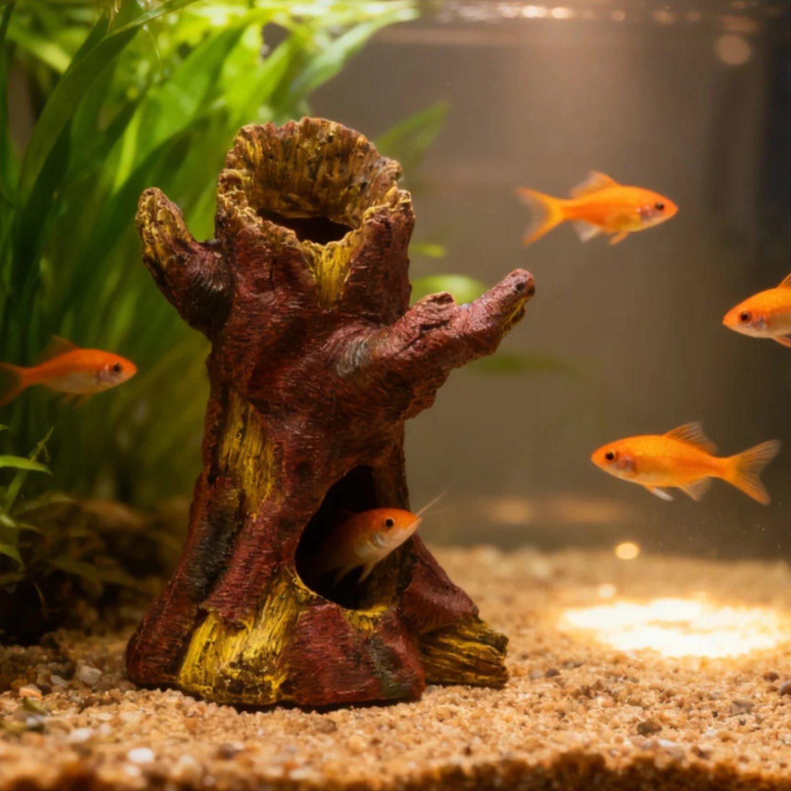 Décoration d'aquarium, décorat - Aquarium Fish Tank avis et prix