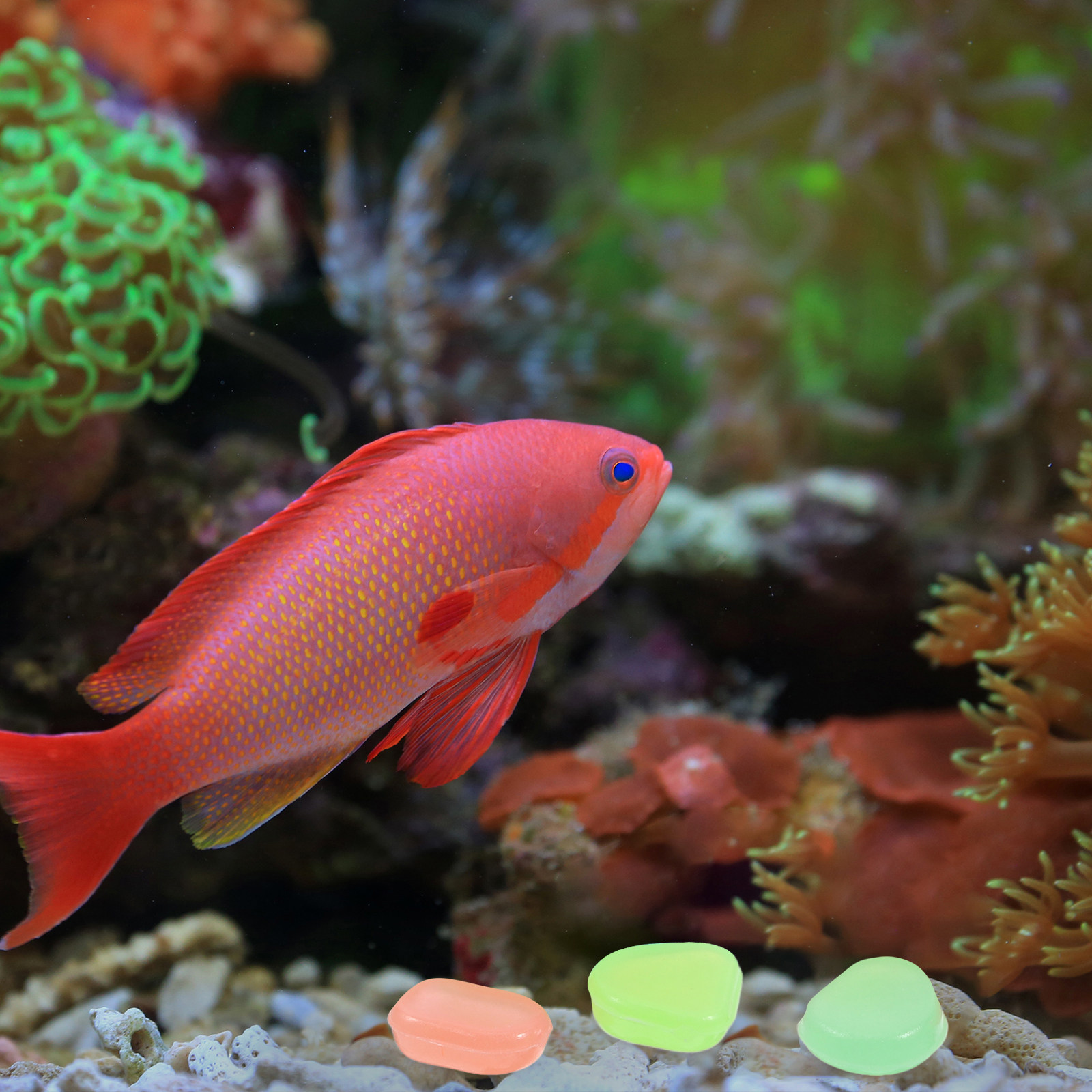 400 pièces de galets lumineux  - Aquarium Fish Glow In The Dark avis et prix
