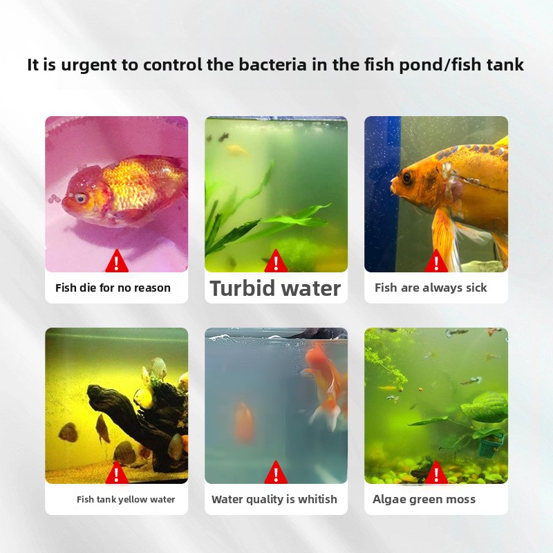 HUACHU Sel d'aquarium pour poi - Aquarium Fish Freshwater avis et prix