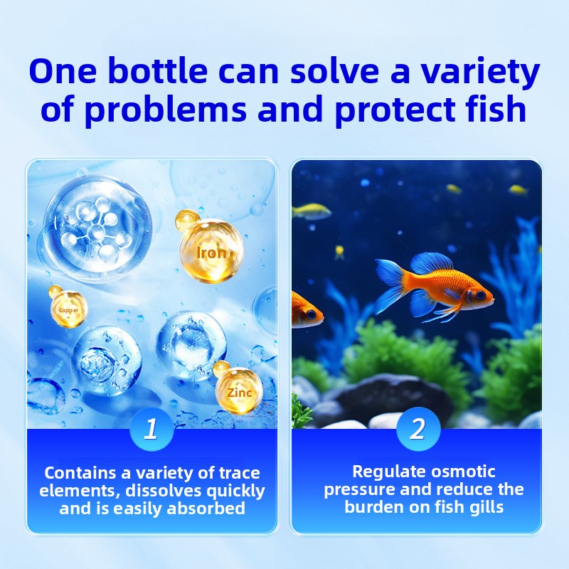 HUACHU Sel d'aquarium pour poi - Aquarium Fish Freshwater avis et prix