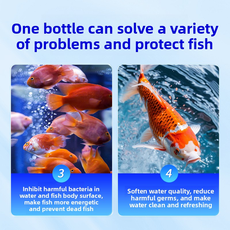 HUACHU Sel d'aquarium pour poi - Aquarium Fish Freshwater avis et prix