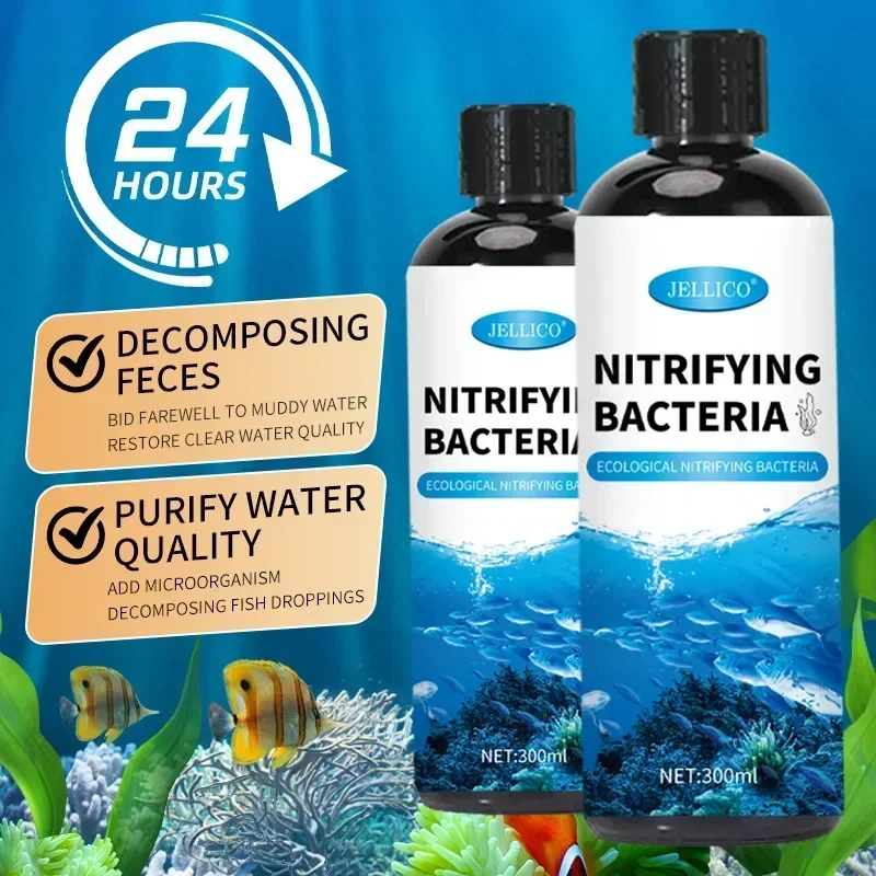 Purificateur d'eau pour Aquari - Aquarium Fish Breeding avis et prix