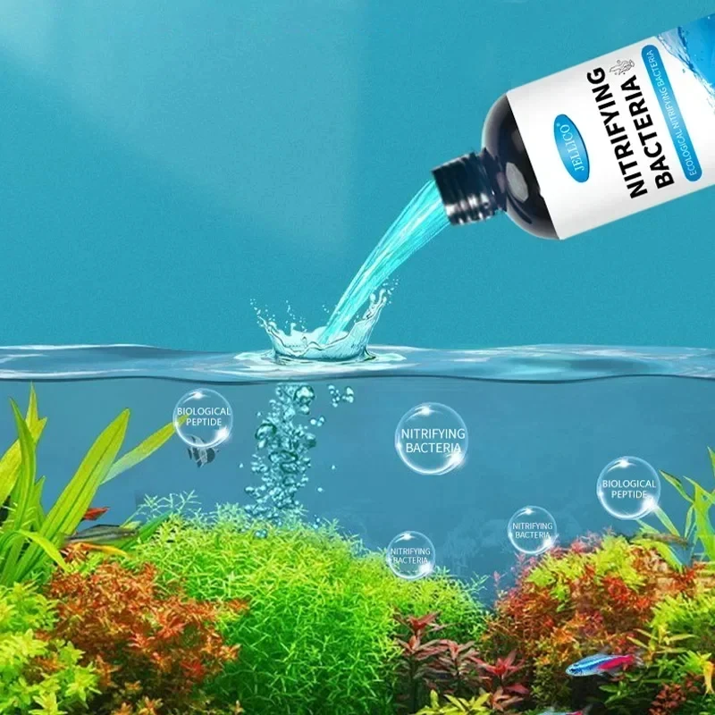 Purificateur d'eau pour Aquari - Aquarium Fish Breeding avis et prix