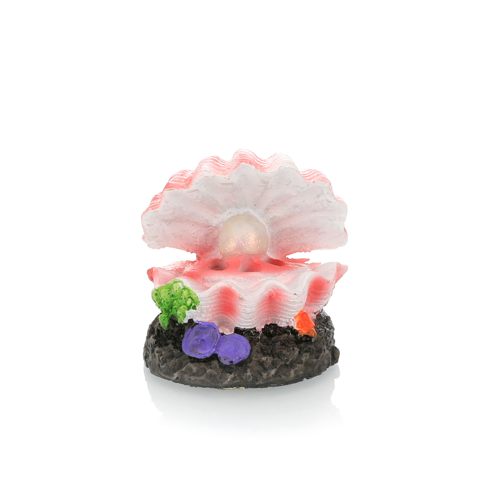 Simulation d'aménagement paysa - Aquarium Fish For Sale Online avis et prix