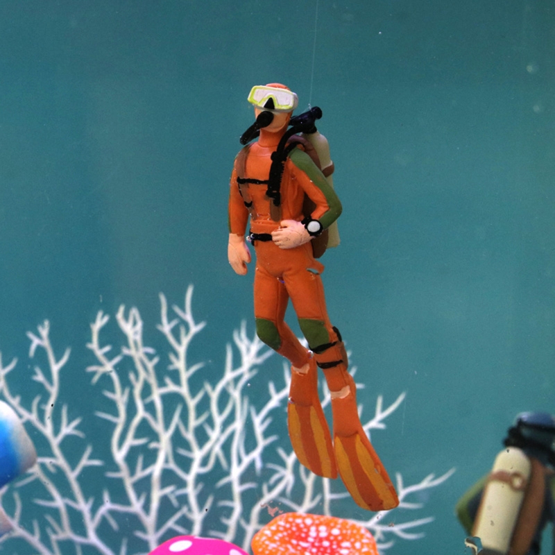 Décoration de plongée d'aquari - All Fish In Aquarium avis et prix