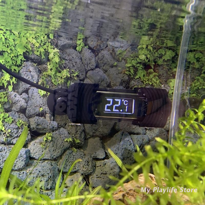 Thermomètre numérique Submersi - Aquarium Fish Freshwater avis et prix