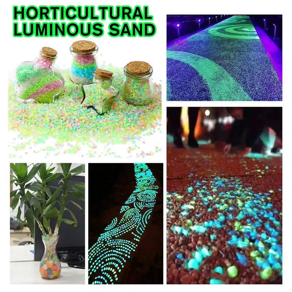 2000 pièces de galets lumineux - Aquarium Fish Glow In The Dark avis et prix