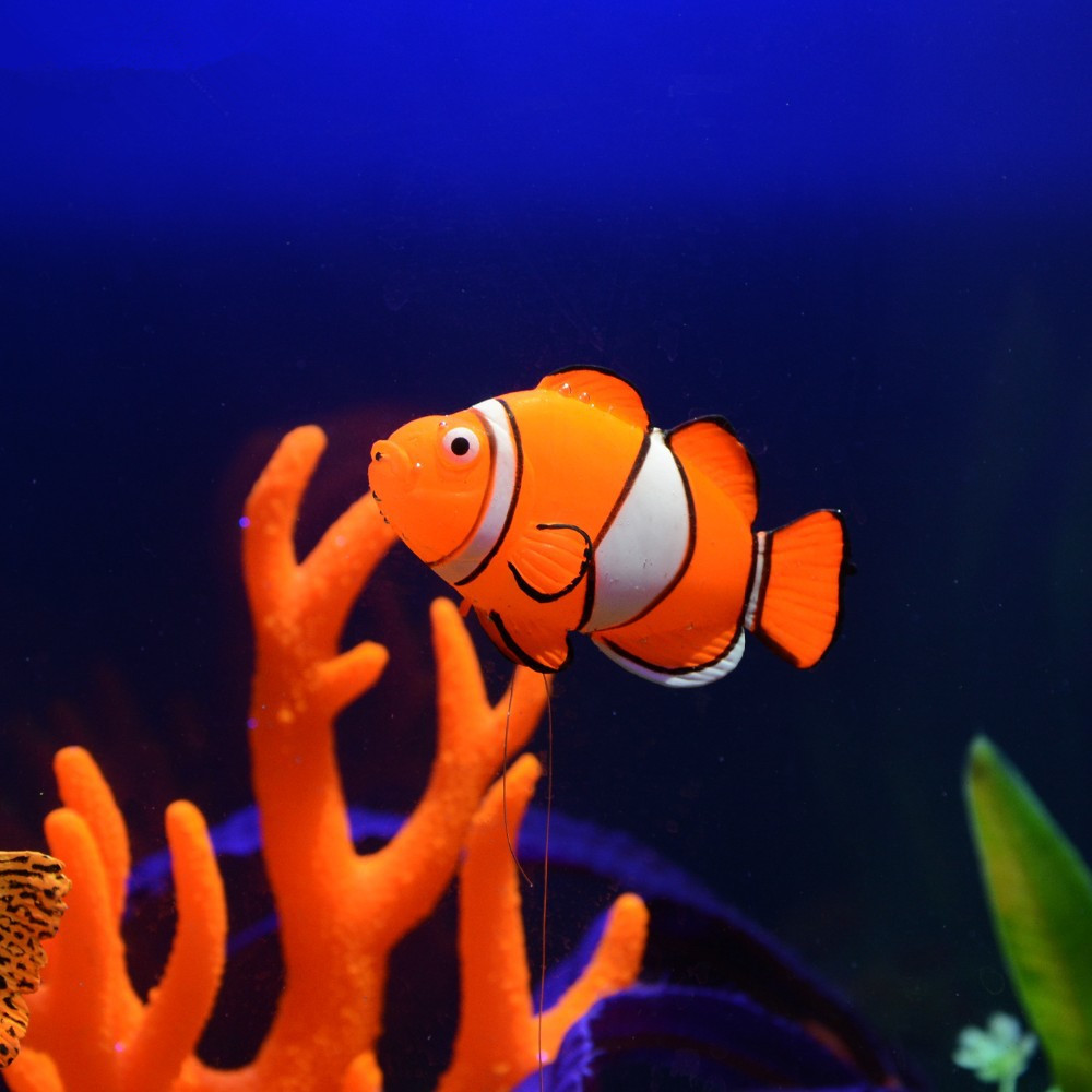 Décoration d'aquarium en silic - Aquarium Fish Glow In The Dark avis et prix