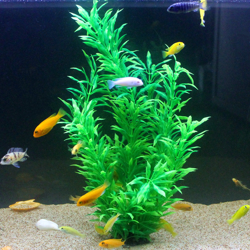 Plantes artificielles pour aqu - Aquarium Fish Breeding avis et prix