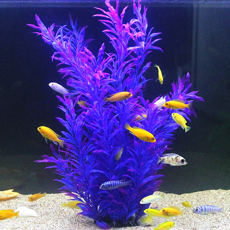 Plantes artificielles pour aqu - Aquarium Fish Breeding avis et prix