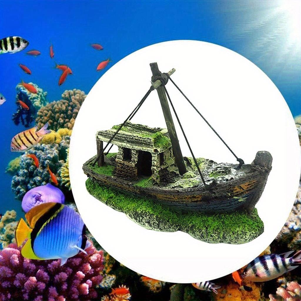 Aquarium Aquarium paysage guir - Aquarium Fish For Sale Online avis et prix